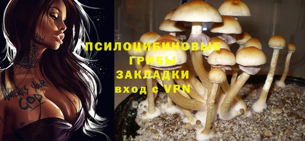 а пвп мука Богданович