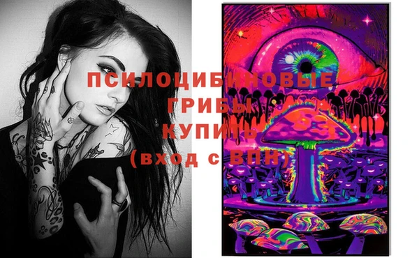 а пвп мука Богданович